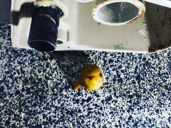 The obstruction that caused the blockage, a whole potato, sitting on the floor beside the lifted pan.